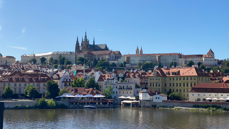 Nowy Prymas Czech: trzeba wyjść z polaryzacji, wbrew algorytmom