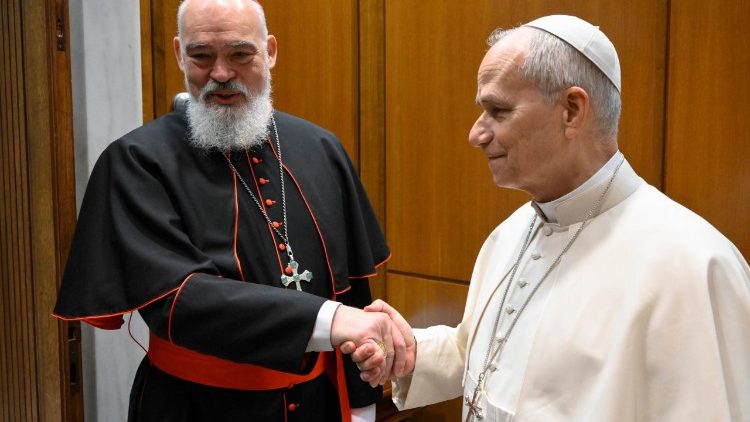 Papież Leon XIV spotkał się z arcybiskupem Teheranu