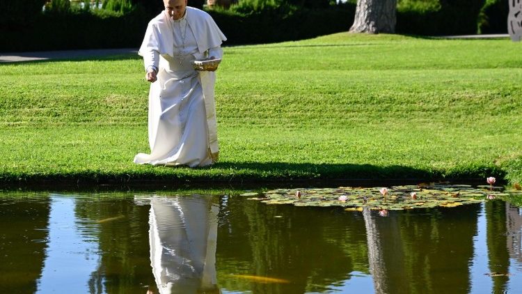 Papież: odpowiedzialność ekologiczna wymaga wiedzy, intelektu i serca